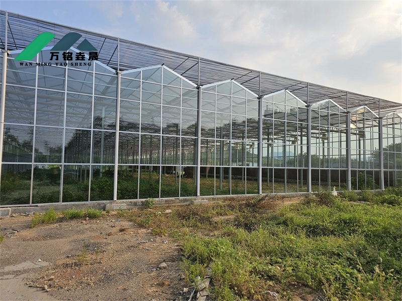 玻璃温室