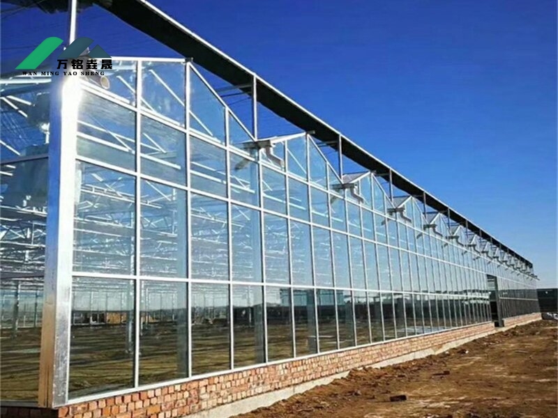 潍坊玻璃温室案例现场2400m²