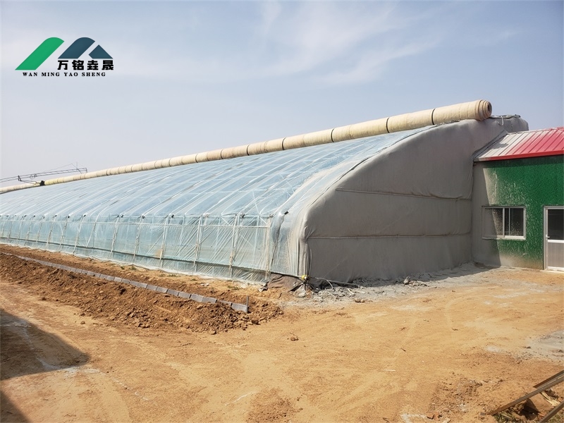 贵州安顺温室现场7600m²