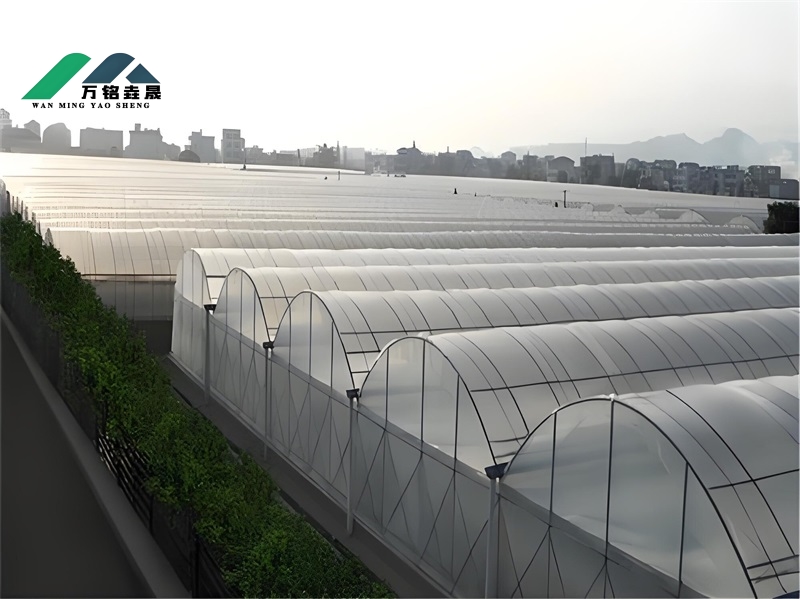山东青岛温室现场8600m²