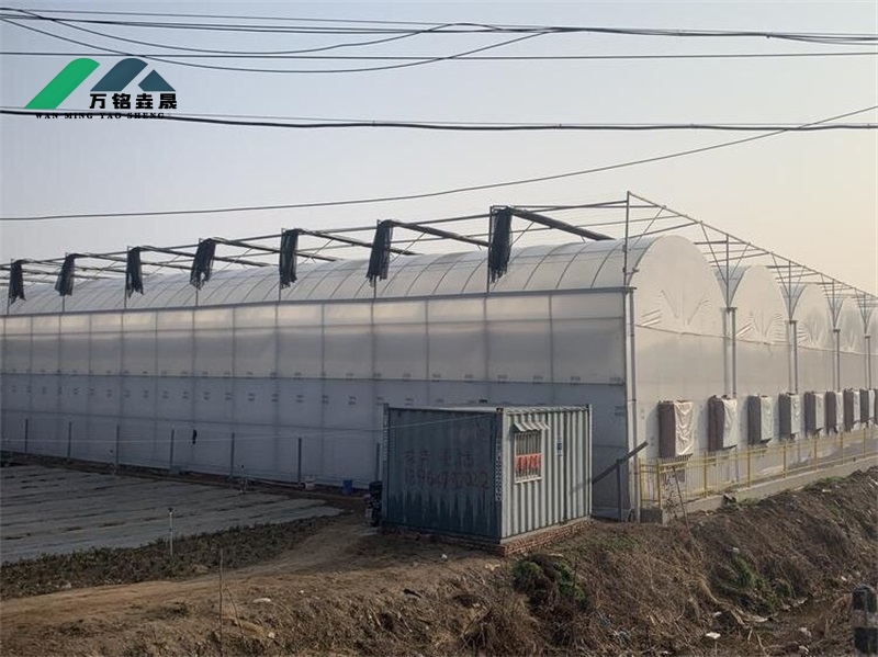 辽宁薄膜温室现场8600m²