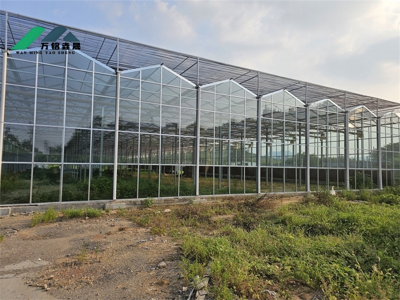 甘肃陇西玻璃温室项目10720m²