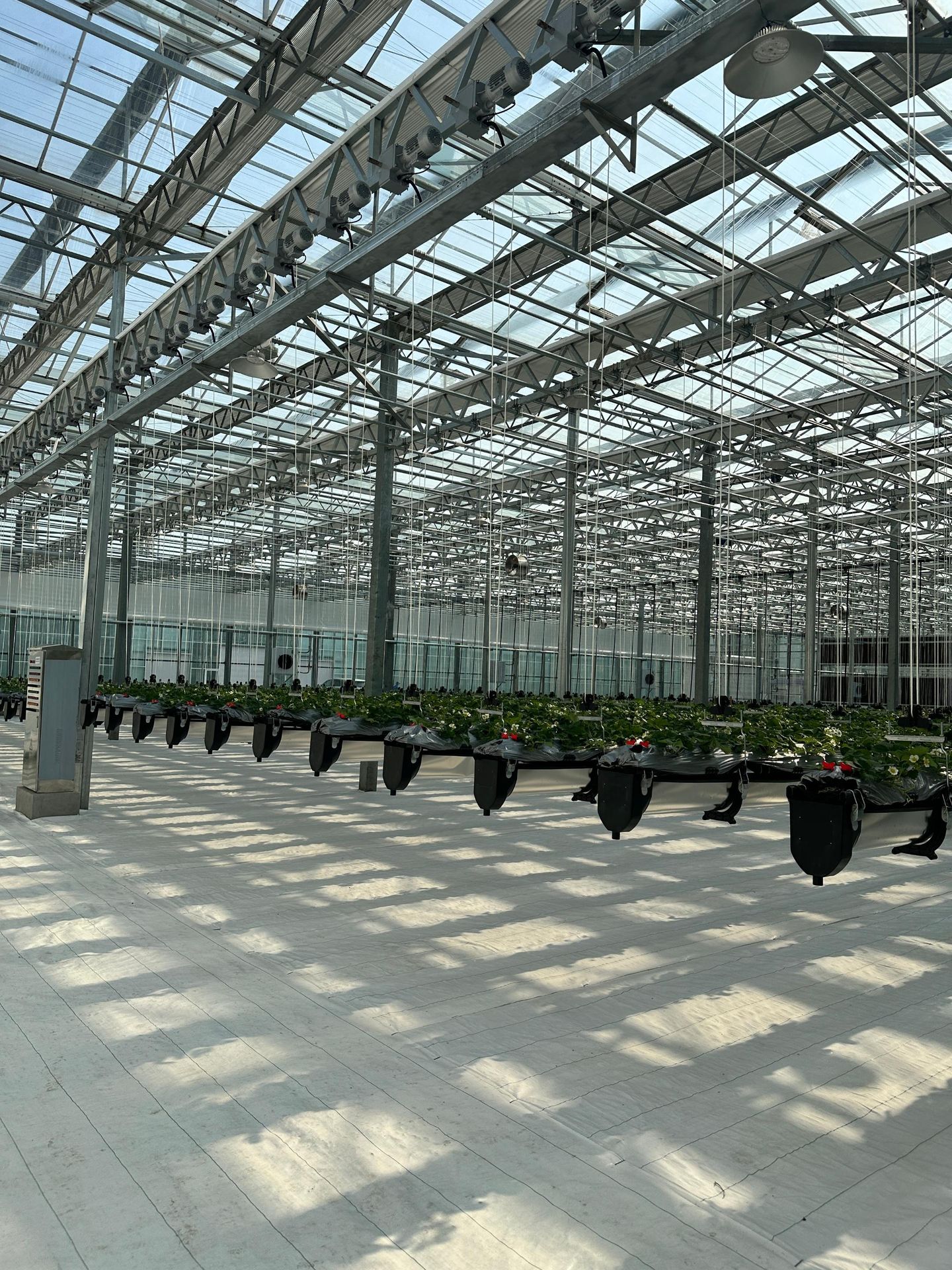 玻璃温室的维护成本高吗？