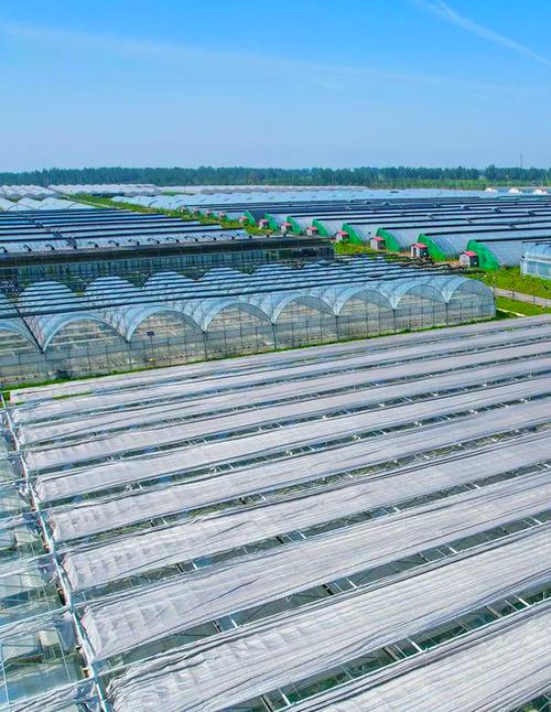 乘“两新”东风，启设施农业新篇
